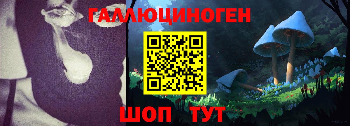 где найти наркотики  Вход с VPN  Галлюциногенные грибы мицелий  Обь  Галлюциногенные грибы Psilocybine cubensis 
